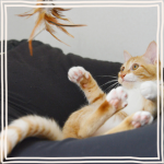 ギャラリー写真8