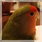 ギャラリー写真10