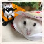 ギャラリー写真14
