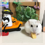 ギャラリー写真16