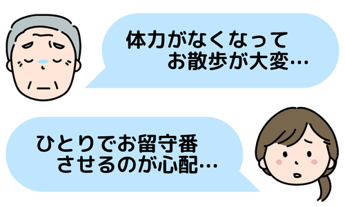 体力がなくなってお散歩が大変、ひとりでお留守番させるのが心配