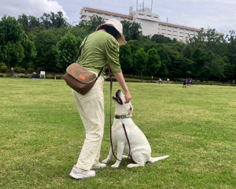ドッグトレーナー研修の様子
